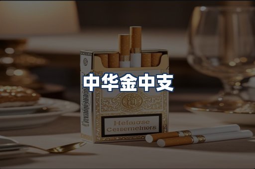 中华金中支